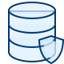 icons8-data-protection-80